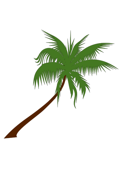 Palm tree clipart