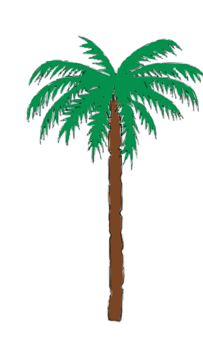 Palm Tree clipart
