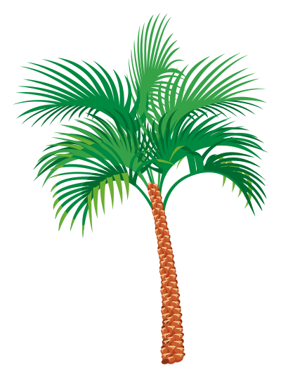 Palm tree clipart