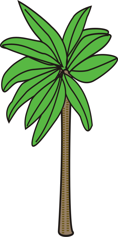 Palm tree clipart