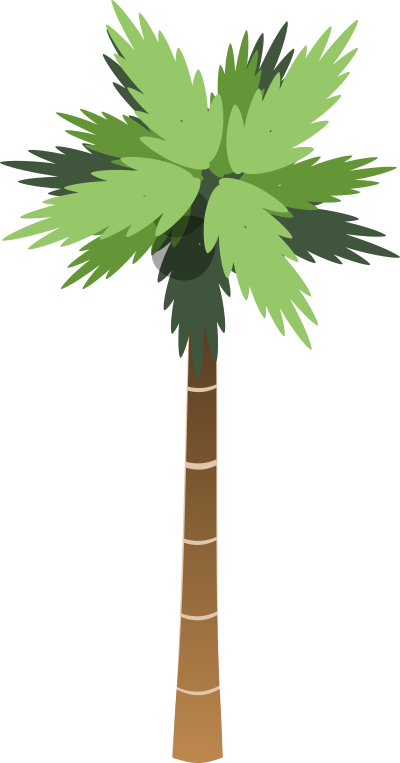 Palm Tree clipart