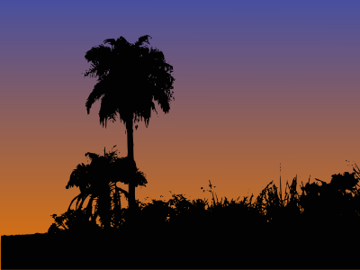 Palm Tree Silhouette clipart