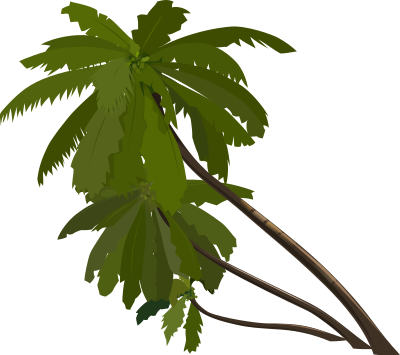 Palm-trees clipart