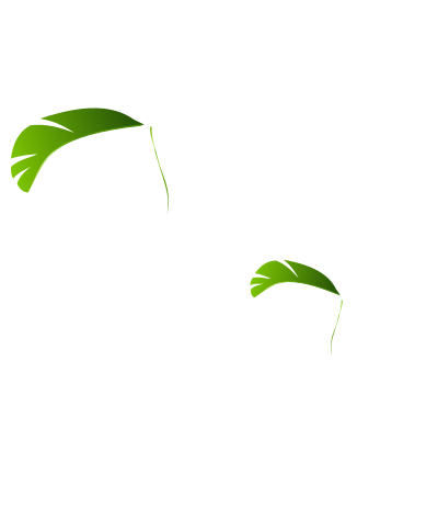 Palm Trees - Palmiers clipart