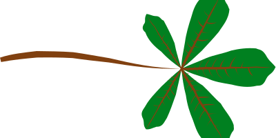 Palmate Leaf (5 lobed) clipart