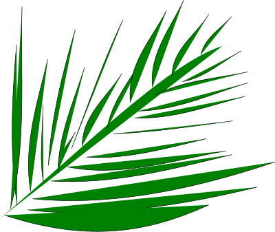 Palmleaf clipart