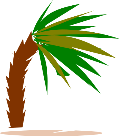 Palmtree clipart