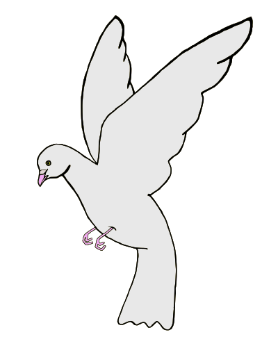 Paloma (dove) clipart