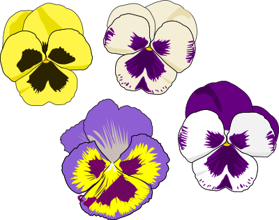Pansy Selection clipart