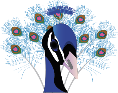 Paon clipart
