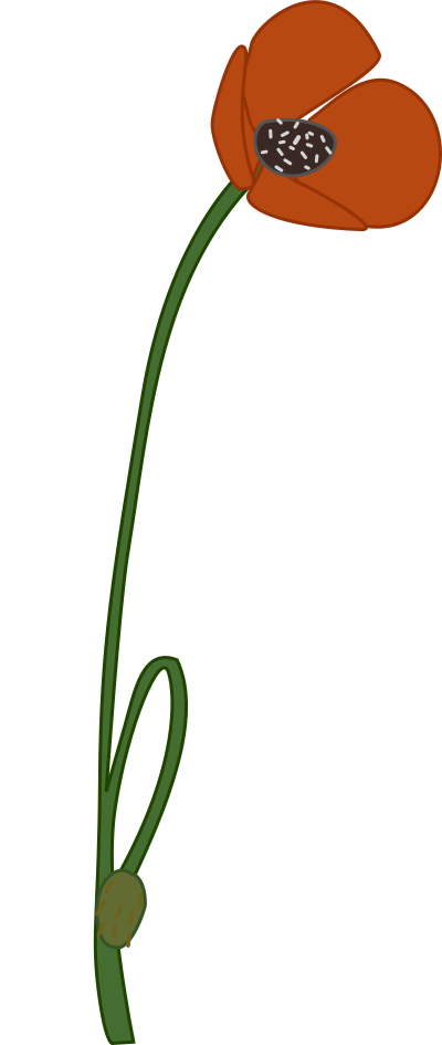 Papaver clipart