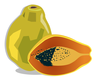 Papaya clipart