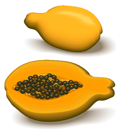 Papaya clipart