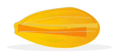 Papaya clipart