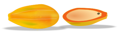 Papaya sliced clipart