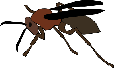 Paper Wasp clipart