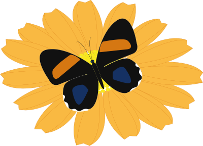 Papillon clipart