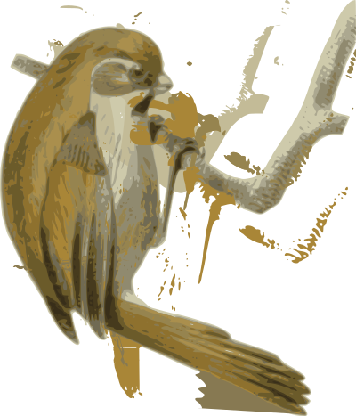 Paradoxornis-verreauxi clipart