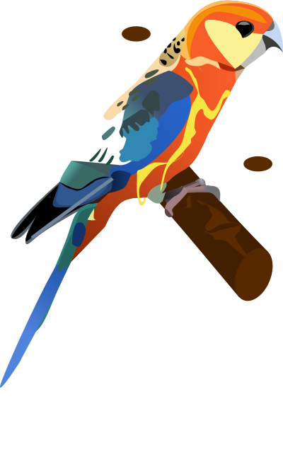 Parrot clipart