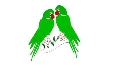 Parrot clipart