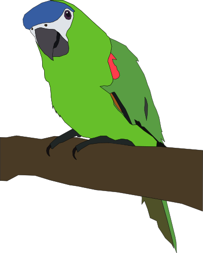 Parrot clipart