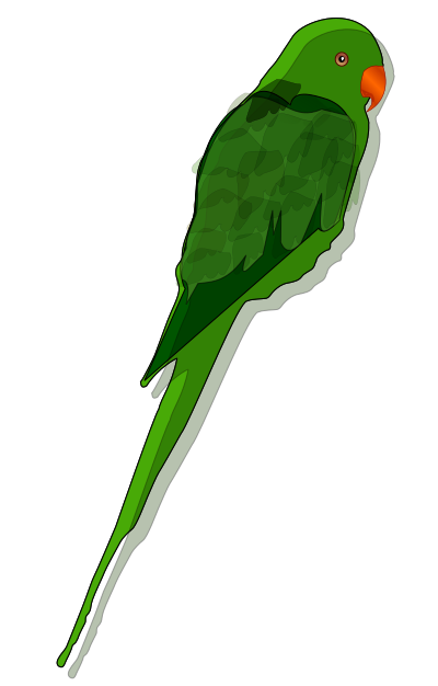 Parrot clipart