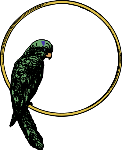Parrot Frame - Colour Remix clipart