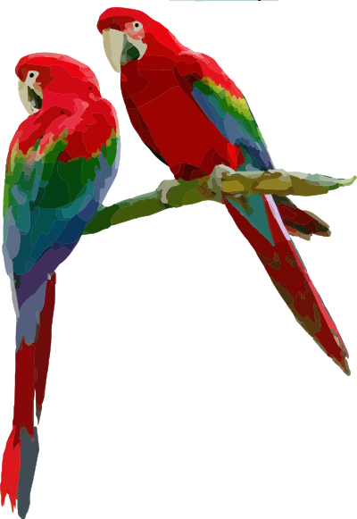 Parrots clipart