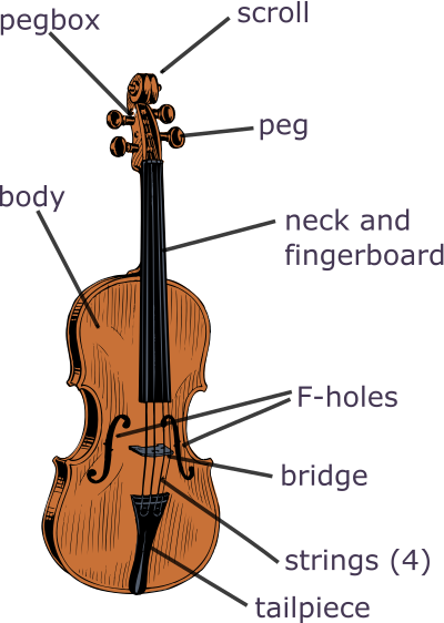 Parts of the Violin clipart