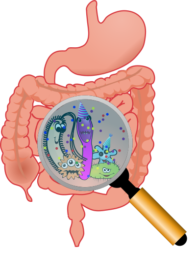 Party in the intestines clipart