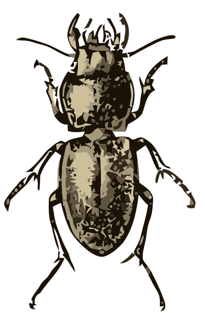 Pasimachus depressus clipart