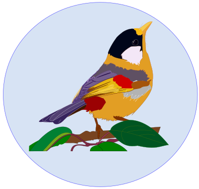 PÁSSARO MULTICOLOR clipart