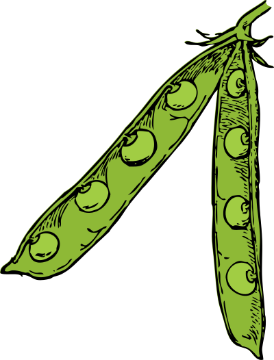 Pea pod - color clipart