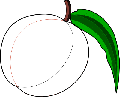 Peach clipart