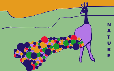 Peacock clipart