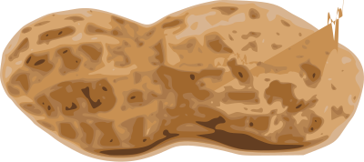 Peanut clipart