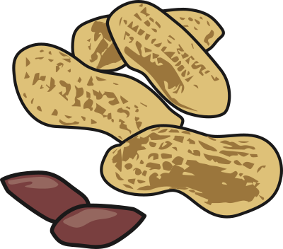 Peanuts clipart