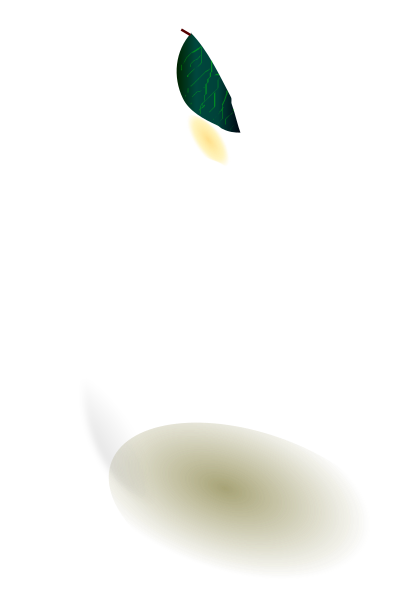 Pear clipart
