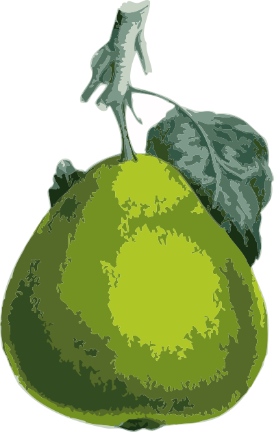 Pear clipart