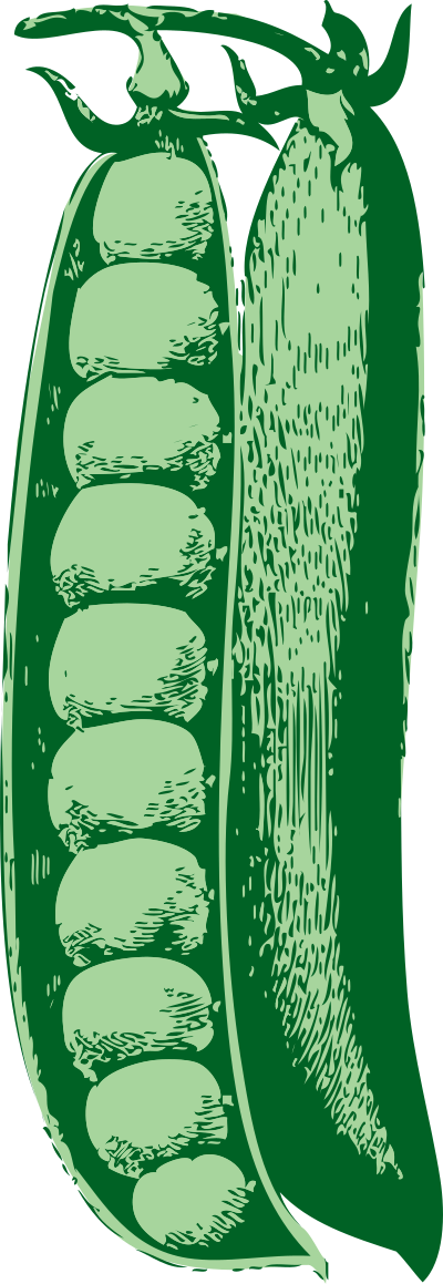 Peas clipart