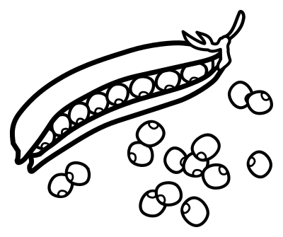 Peas - lineart clipart