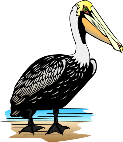 Pelican clipart