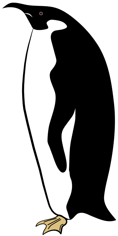 Penguin clipart