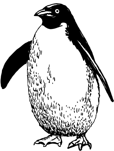 Penguin 3 clipart