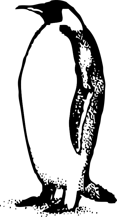 Penguin clipart