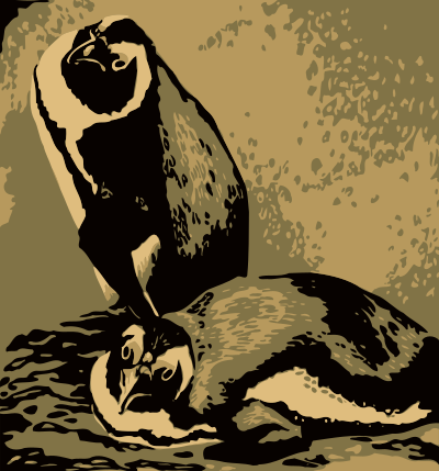 Penguins clipart