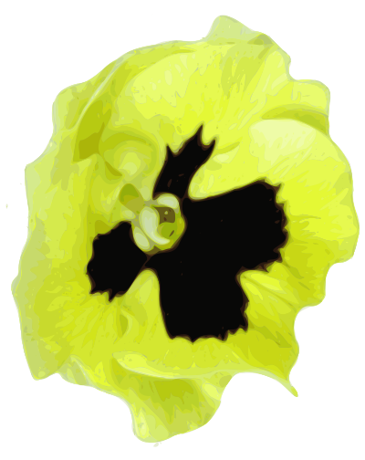 Pensee flower clipart