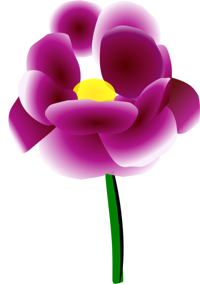 Peony clipart