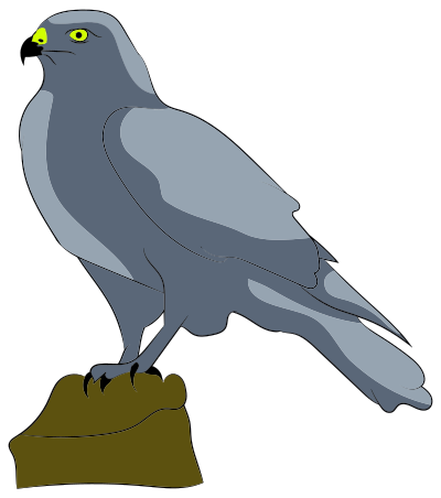 Perched Falcon clipart