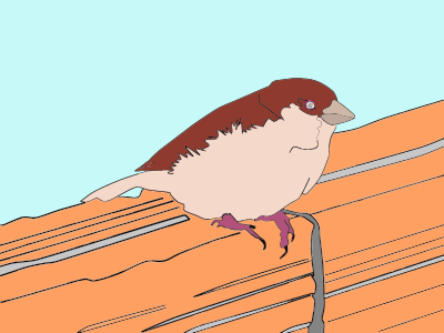 Perching Bird clipart